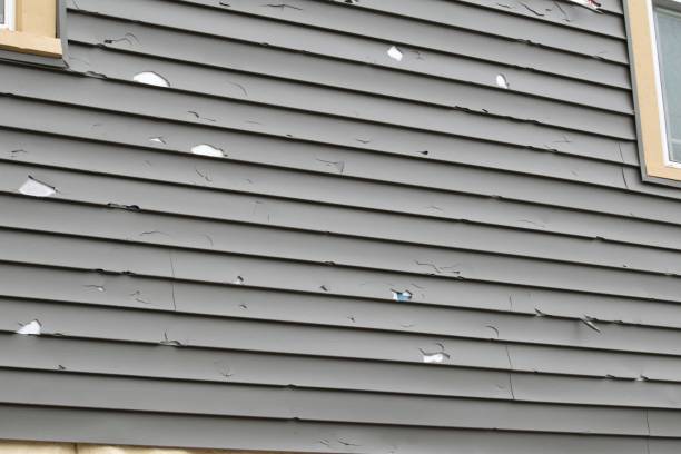 Best Vinyl Siding Installation  in Los Gatos, CA